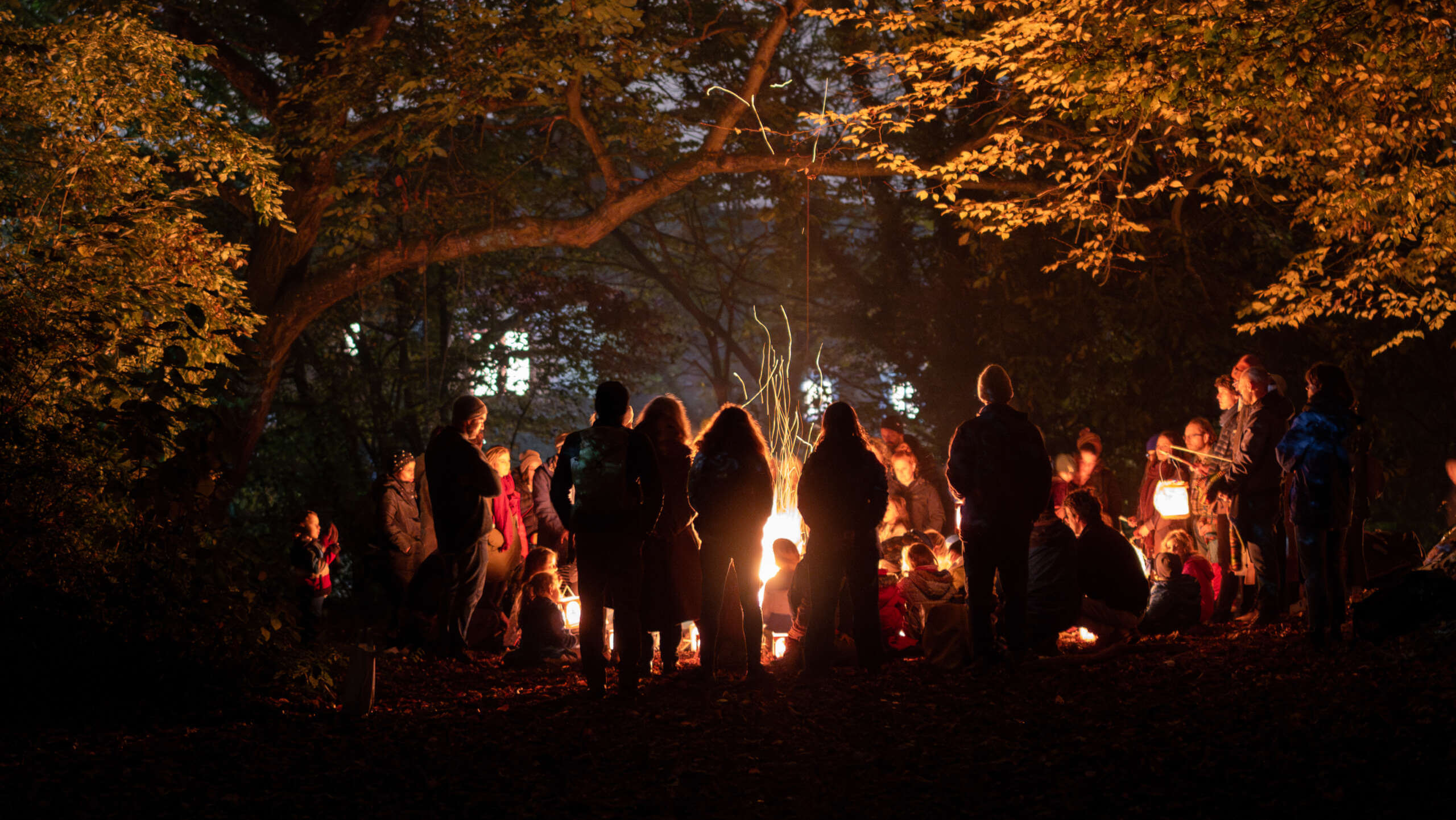Stimmungsvolle und mystisch anmutende Nachtszene des St. Martins-Laternenumzugs der Rudolf Steiner Schule Basel. Eine Gruppe von Menschen steht mit ihren leuchtenden Laternen im Wald um ein loderndes Feuer herum und man sieht ihre leuchtenden Silhouetten